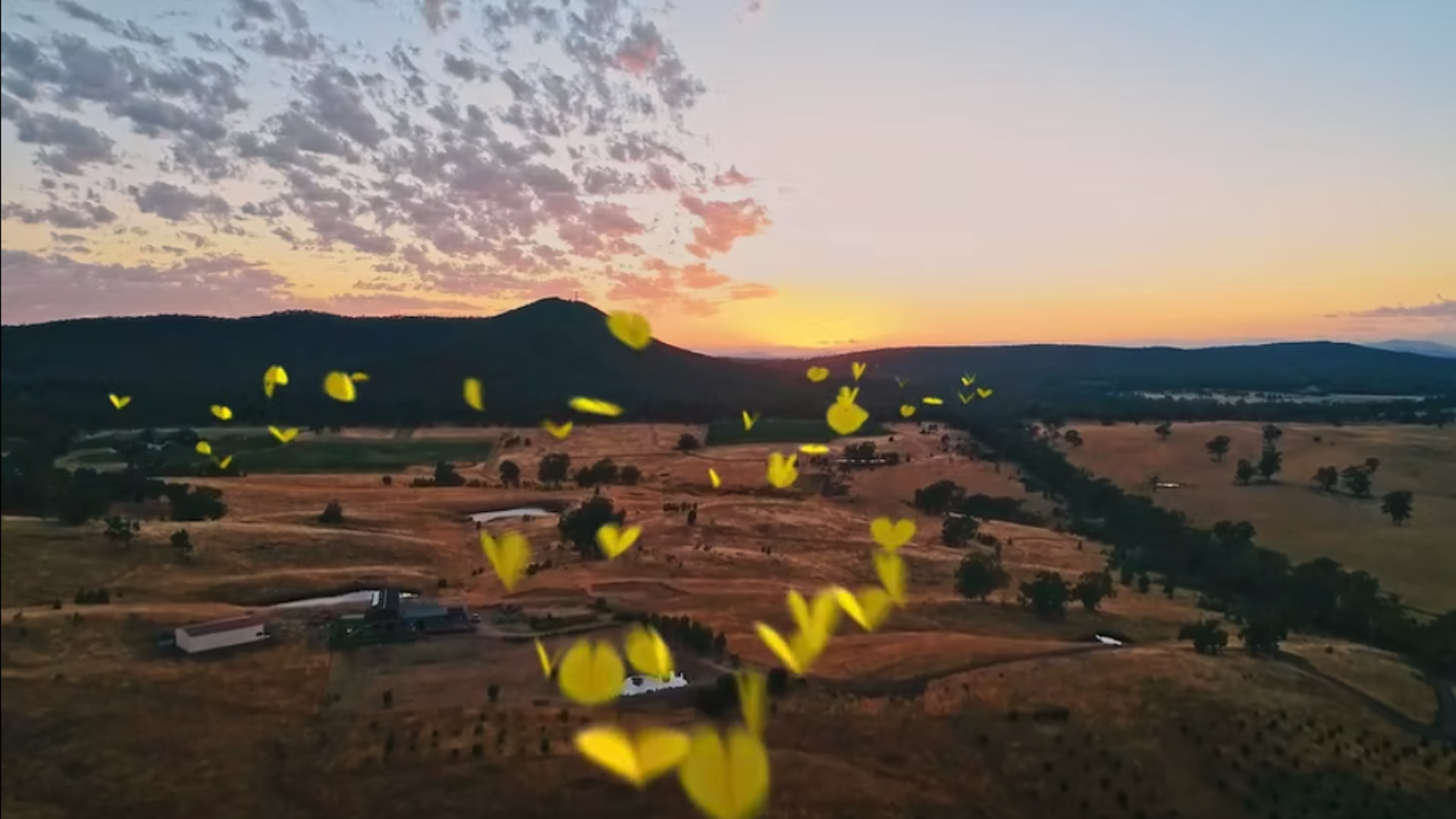 Still from the VANDAL produced Department ofHealth 'Care for your Health' TVC featuring a sunrise over the scenic Australian Countryside with yellow heart shaped butterflies moving across the frame