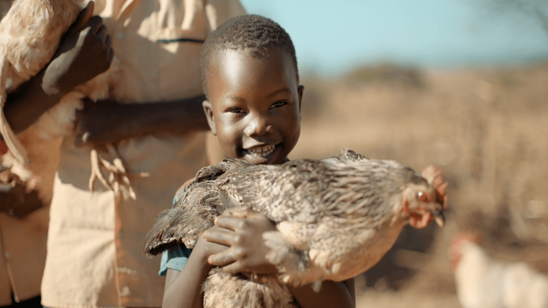 Still from the VANDAL produced World Vision commercial featuring a young boy holding a chicken